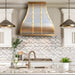 custom modern kitchen hood 