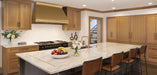 Rangehoodmaster brushed brass range hood with strap & rivets